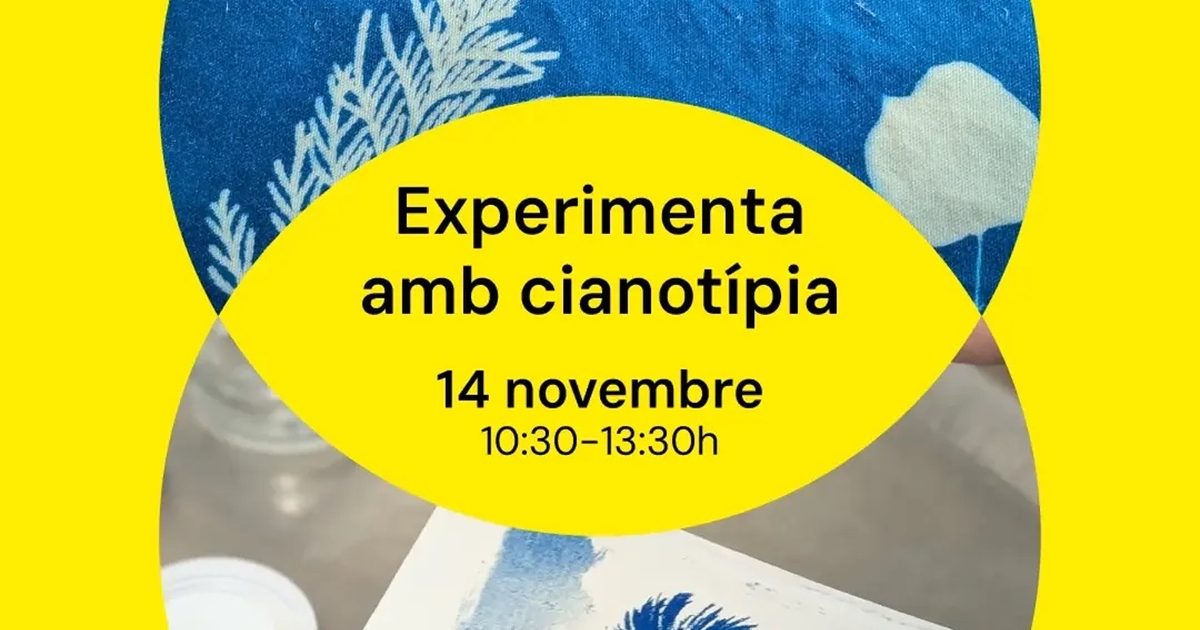 Experimenta amb cianotípia